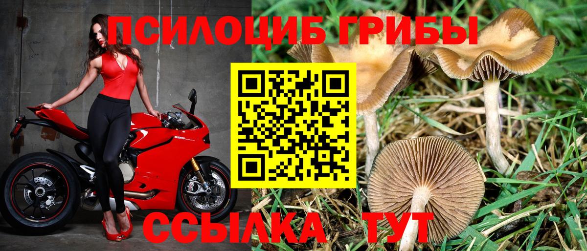 Галлюциногенные грибы ЛСД Мыски